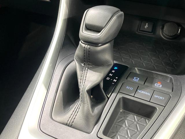ＲＡＶ４ Ｘ　純正８インチＤＡ　バックカメラ　ＬＥＤヘッド　衝突軽減　レーダークルーズ　ルーフレール　オートエアコン　スマートキー　電動格納ミラー（42枚目）