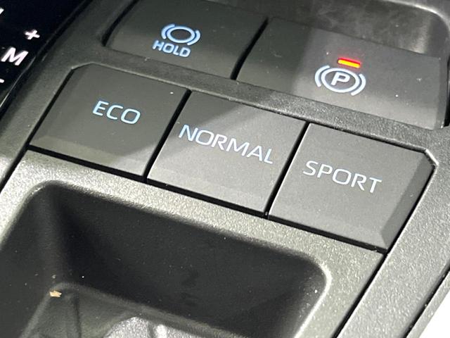 ＲＡＶ４ Ｘ　純正８インチＤＡ　バックカメラ　ＬＥＤヘッド　衝突軽減　レーダークルーズ　ルーフレール　オートエアコン　スマートキー　電動格納ミラー（44枚目）