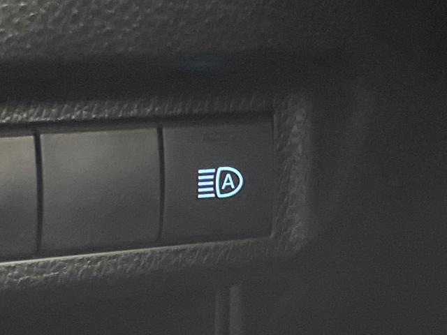 ＲＡＶ４ Ｘ　純正８インチＤＡ　バックカメラ　ＬＥＤヘッド　衝突軽減　レーダークルーズ　ルーフレール　オートエアコン　スマートキー　電動格納ミラー（53枚目）