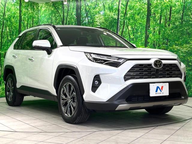ＲＡＶ４ ハイブリッドＧ　純正１０インチＤＡ　全周囲カメラ　フルセグ　ＢＳＭ　ドラレコ　ＥＴＣ　デジタルミラー　ベンチレーション　パワーバックドア　パワーシート　ステアリングヒーター　ＬＥＤヘッド　レーダークルーズ（17枚目）
