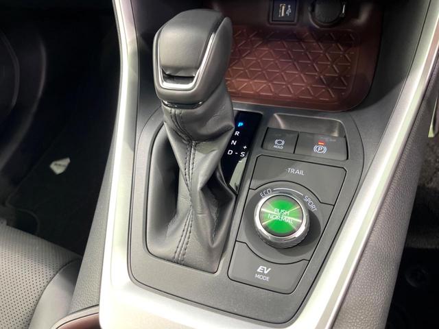 ＲＡＶ４ ハイブリッドＧ　純正１０インチＤＡ　全周囲カメラ　フルセグ　ＢＳＭ　ドラレコ　ＥＴＣ　デジタルミラー　ベンチレーション　パワーバックドア　パワーシート　ステアリングヒーター　ＬＥＤヘッド　レーダークルーズ（39枚目）