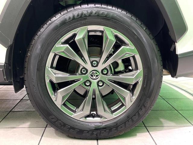 ＲＡＶ４ ハイブリッドＧ　純正１０インチＤＡ　全周囲カメラ　フルセグ　ＢＳＭ　ドラレコ　ＥＴＣ　デジタルミラー　ベンチレーション　パワーバックドア　パワーシート　ステアリングヒーター　ＬＥＤヘッド　レーダークルーズ（60枚目）