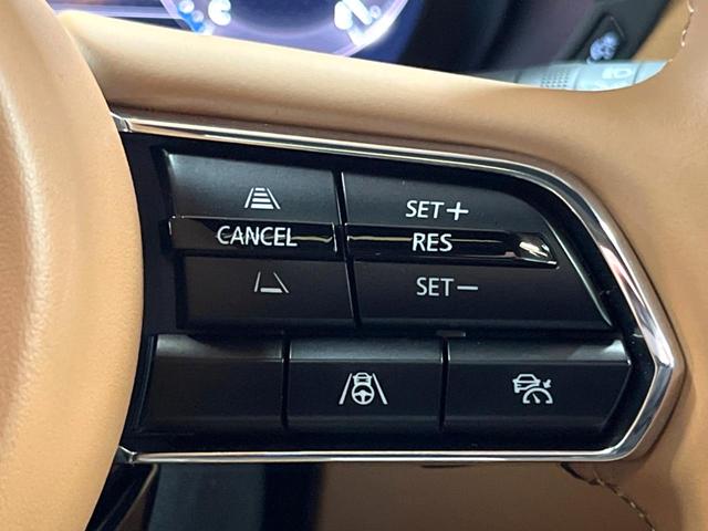 �y�}�c�_�E���[�_�[�N���[�Y�R���g���[���z�������H�ł̒��������s���y�ɁI�����ő��x��ۂN���[�Y�R���g���[�����A�Փˌy���V�X�e���ƘA�g���A�O���̎ԗ������m���ĎԊԂ�ۂ悤�ɑ��x���߂��Ă���܂��I�I