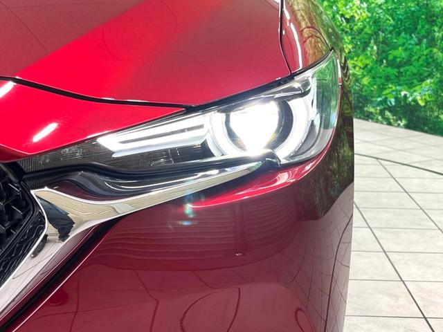 �y�k�d�c�w�b�h���C�g�z���V����ԑ��s�����ǍD�Ȏ��E���m�ۂ����S���ĉ^�]�ł��鍂�P�x�k�d�c�w�b�h���C�g�𑕔��I�_�����x�������A����d�͂��}�����Ă��܂��B