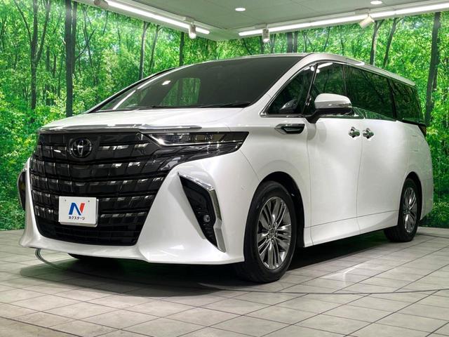 アルファードハイブリッド Ｚ　サンルーフ　ユニバーサルステップ　シグネチャーイルミブレード　純正１４インチナビ　全周囲カメラ　両側電動スライド　ＢＳＭ　衝突軽減　レーダークルーズ（22枚目）