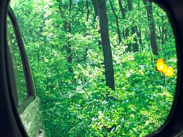 �y�u���C���h�X�|�b�g���j�^�[�z���s���A�h�A�~���[�̎��p�ɂȂ�₷���ӏ��Ɍ㑱�Ԃ��ڋ߂���ƃT�C�h�~���[�t�߂Ɍx����\���A�h���C�o�[�ɒ��ӊ��N�����Ă���܂��B