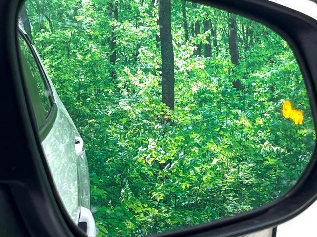 �y�u���C���h�X�|�b�g���j�^�[�z���s���A�h�A�~���[�̎��p�ɂȂ�₷���ӏ��Ɍ㑱�Ԃ��ڋ߂���ƃT�C�h�~���[�̃����Y�Ɍx����\���I�h���C�o�[�ɒ��ӊ��N�����Ă���܂��B