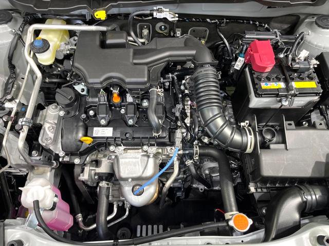 ライズ Ｘ　登録済未使用車　衝突被害軽減システム　コーナーセンサー　スマートキー　ＬＥＤヘッド　オートライト　禁煙車　アイドリングストップ　電動格納ミラー（18枚目）