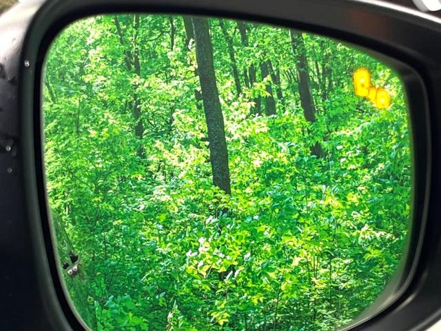 �y�u���C���h�X�|�b�g���j�^�����O�z���s���A�h�A�~���[�̎��p�ɂȂ�₷���ӏ��Ɍ㑱�Ԃ��ڋ߂���ƃT�C�h�~���[�t�߂Ɍx����\���A�h���C�o�[�ɒ��ӊ��N�����Ă���܂��B