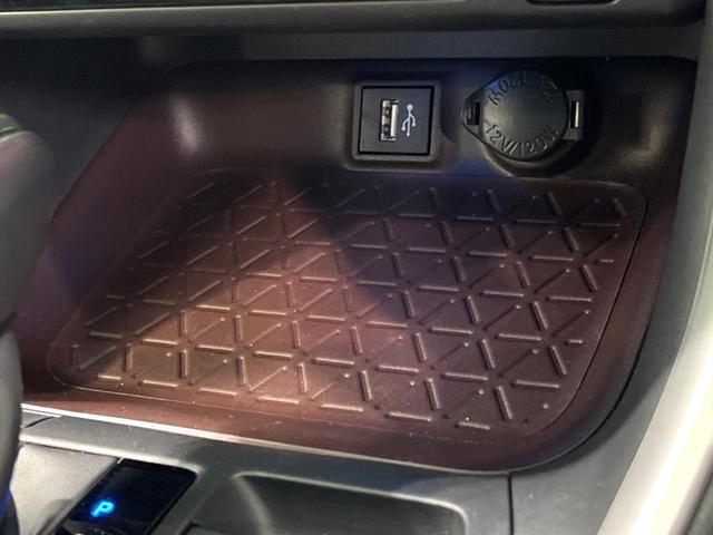 ＲＡＶ４ Ｇ　サンルーフ　純正１０インチＤＡ　全周囲カメラ　ＢＳＭ　デジタルインナーミラー　ステアリングヒーター　パワーバックドア　ＥＴＣ　シートベンチレーション　衝突軽減　レーダークルーズ（45枚目）