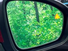 ڸѸΡ桢ɥߥ顼λѤˤʤ䤹ս˸³֤᤹ܶȥɥߥ顼ն˷ٹɽɥ饤Сմ򤷤Ƥޤ 7