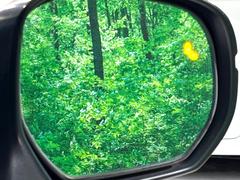 ڥ֥饤ɥݥåȥե᡼桢ɥߥ顼λѤˤʤ䤹ս˸³֤᤹ܶȥɥߥ顼ն˷ٹɽɥ饤Сմ򤷤Ƥޤ 6