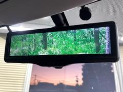 �ڥ���ƥꥸ����ȥ롼��ߥ顼�۸��ʤ��礭�ʲ�ʪ��Ʊ��ԤǸ�������ǧ���Ť餤���Ǥ�¿�������餬���Ƥ�����ξ�����α�����롼��ߥ顼���ɽ�������ꥢ�ʻ볦�Ǿ����γ�ǧ����ǽ�Ǥ��� 5