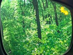 ڥ֥饤ɥݥåȥ˥󥰡桢ɥߥ顼λѤˤʤ䤹ս˸³֤᤹ܶȥɥߥ顼ն˷ٹɽɥ饤Сմ򤷤Ƥޤ 7