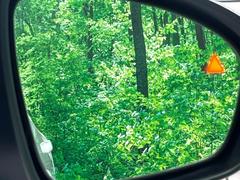 ڸѸΡ桢ɥߥ顼λѤˤʤ䤹ս˸³֤᤹ܶȥɥߥ顼ն˷ٹɽɥ饤Сմ򤷤Ƥޤ 6