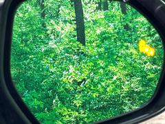 【ブラインドスポットモニター】走行中、ドアミラーの死角になりやすい箇所に後続車が接近するとサイドミラーのレンズに警告を表示！ドライバーに注意喚起をしてくれます。 7