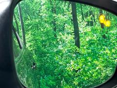 ڥ֥饤ɥݥåȥ˥󥰡桢ɥߥ顼λѤˤʤ䤹ս˸³֤᤹ܶȥɥߥ顼ն˷ٹɽɥ饤Сմ򤷤Ƥޤ 5