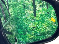 �ڥ֥饤��ɥ��ݥåȥ�˥����������桢�ɥ��ߥ顼�λ�Ѥˤʤ�䤹���ս�˸�³�֤��᤹ܶ��ȥ����ɥߥ顼�Υ�󥺤˷ٹ��ɽ�����ɥ饤�С������մ����򤷤Ƥ���ޤ��� 5