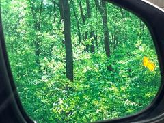 �ڥ֥饤��ɥ��ݥåȥ�˥����������桢�ɥ��ߥ顼�λ�Ѥˤʤ�䤹���ս�˸�³�֤��᤹ܶ��ȥ����ɥߥ顼�Υ�󥺤˷ٹ��ɽ�����ɥ饤�С������մ����򤷤Ƥ���ޤ��� 7