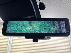 �ڥ���ƥꥸ����ȥ롼��ߥ顼�۸��ʤ��礭�ʲ�ʪ��Ʊ��ԤǸ�������ǧ���Ť餤���Ǥ�¿�������餬���Ƥ�����ξ�����α�����롼��ߥ顼���ɽ�������ꥢ�ʻ볦�Ǿ����γ�ǧ����ǽ�Ǥ��� 5