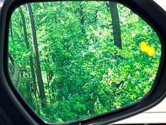 �ڥ֥饤��ɥ��ݥåȥ�˥����������桢�ɥ��ߥ顼�λ�Ѥˤʤ�䤹���ս�˸�³�֤��᤹ܶ��ȥ����ɥߥ顼�Υ�󥺤˷ٹ��ɽ�����ɥ饤�С������մ����򤷤Ƥ���ޤ��� 6