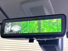 �ڥ���ƥꥸ����ȥ롼��ߥ顼�۸��ʤ��礭�ʲ�ʪ��Ʊ��ԤǸ�������ǧ���Ť餤���Ǥ�¿�������餬���Ƥ�����ξ�����α�����롼��ߥ顼���ɽ�������ꥢ�ʻ볦�Ǿ����γ�ǧ����ǽ�Ǥ��� 7