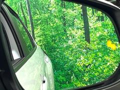 �������饯���� �ϥ��֥�åɡ��ڡ���������������ģ��������ϥ���顡���ͷڸ� 0804740A20260203Q002 7