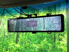 �ڥ���ƥꥸ����ȥ롼��ߥ顼�۸��ʤ��礭�ʲ�ʪ��Ʊ��ԤǸ�������ǧ���Ť餤���Ǥ�¿�������餬���Ƥ�����ξ�����α�����롼��ߥ顼���ɽ�������ꥢ�ʻ볦�Ǿ����γ�ǧ����ǽ�Ǥ��� 7