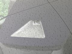 �ڥȥ西�����եƥ����󥹡�������������μ�ξ����ǧ���������ͤ������ʻ��Ϸ���ȥ֥졼���Ǿ��Ͳ�����ﳲ�ڸ��򥢥����ȡ��������˥ɥ饤�֤򤪳ڤ��ߤ��������ޤ��� 5