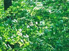 �ڥإåɥ��åץǥ����ץ쥤�۸��ߤ�®�٤����Ծ����ǥ�����ɽ���Ǳ�ž�������Υ��饹����ơ���ž�桢�����򤺤餵��ɬ�פʾ�����ǧ�Ǥ���ΤǤȤäƤ������ǰ¿��� 7