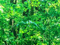 �ڥإåɥ��åץǥ����ץ쥤�۸��ߤ�®�٤����Ծ����ǥ�����ɽ���Ǳ�ž�������Υ��饹����ơ���ž�桢�����򤺤餵��ɬ�פʾ�����ǧ�Ǥ���ΤǤȤäƤ������ǰ¿��� 6