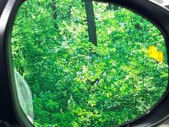 �ڥ֥饤��ɥ��ݥåȥ�˥����������桢�ɥ��ߥ顼�λ�Ѥˤʤ�䤹���ս�˸�³�֤��᤹ܶ��ȥ����ɥߥ顼�Υ�󥺤˷ٹ��ɽ�����ɥ饤�С������մ����򤷤Ƥ���ޤ��� 5