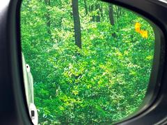 �ڥ֥饤��ɥ��ݥåȥ�˥���󥰡������桢�ɥ��ߥ顼�λ�Ѥˤʤ�䤹���ս�˸�³�֤��᤹ܶ��ȥ����ɥߥ顼�ն�˷ٹ��ɽ�����ɥ饤�С������մ����򤷤Ƥ���ޤ��� 6