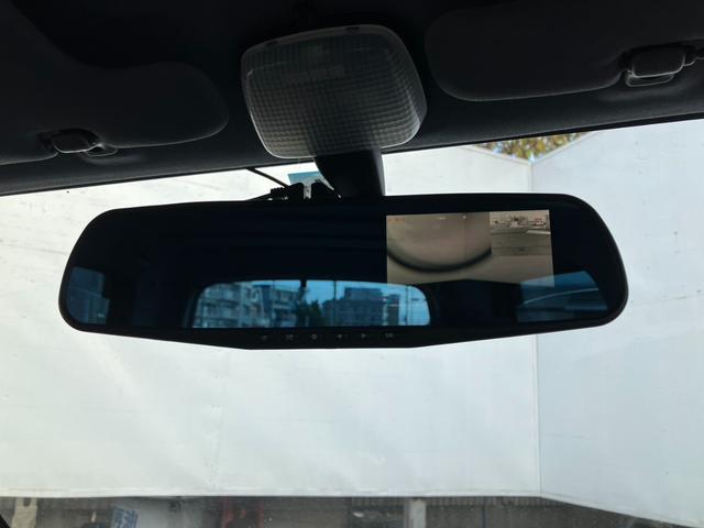 テリオスキッド キスマークＸ（33枚目）