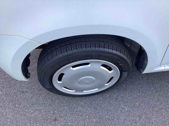 ���t�����g�^�C���̎ʐ^�ł�