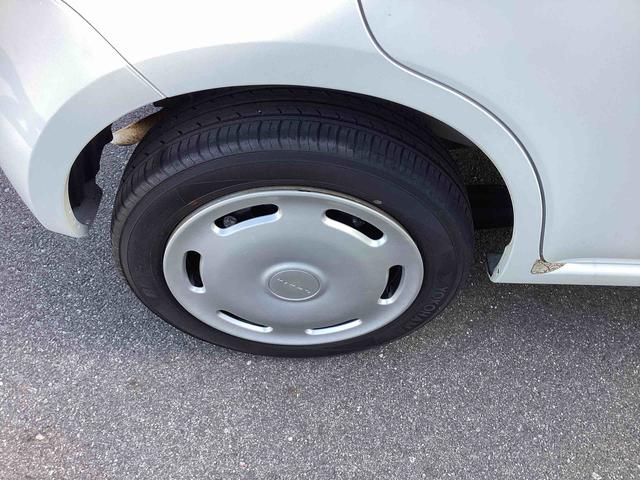 �E���A�^�C���̎ʐ^�ł�