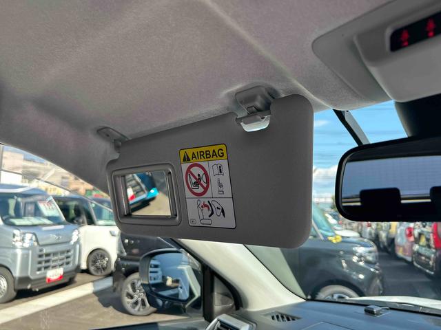 ����ȃT���o�C�U�[�̎ʐ^�ł�