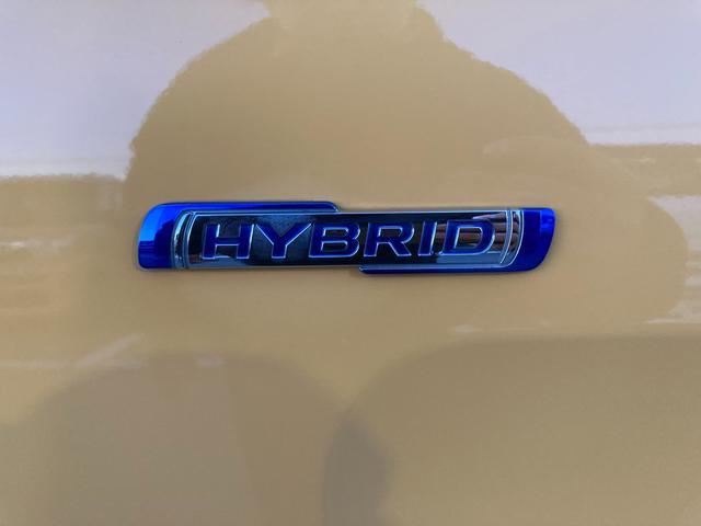 �}�C���h�n�C�u���b�h�d�l�Ԃł���