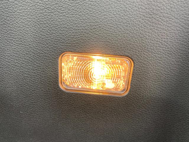 ���[�����C�g�͉����݂̂���F�ŗ��������܂��ˁ�