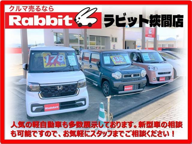 フィットハイブリッド Ｌパッケージ　ハイブリッド　ＴＶ　オートクルーズコントロール　オートライト　ＬＥＤヘッドランプ　スマートキー　電動格納ミラー　ＡＴ　盗難防止システム　衝突安全ボディ　ＣＤ　ＤＶＤ再生　ＵＳＢ　チップアップシート（44枚目）