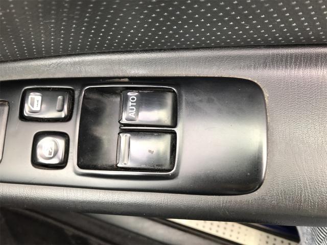 シルビア ヴァリエッタ（15枚目）