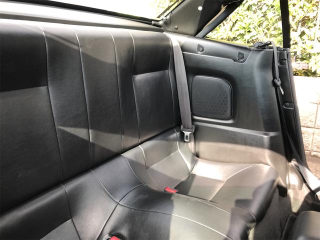 シルビア ヴァリエッタ（36枚目）