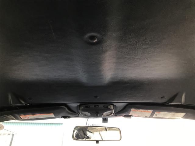 シルビア ヴァリエッタ（37枚目）