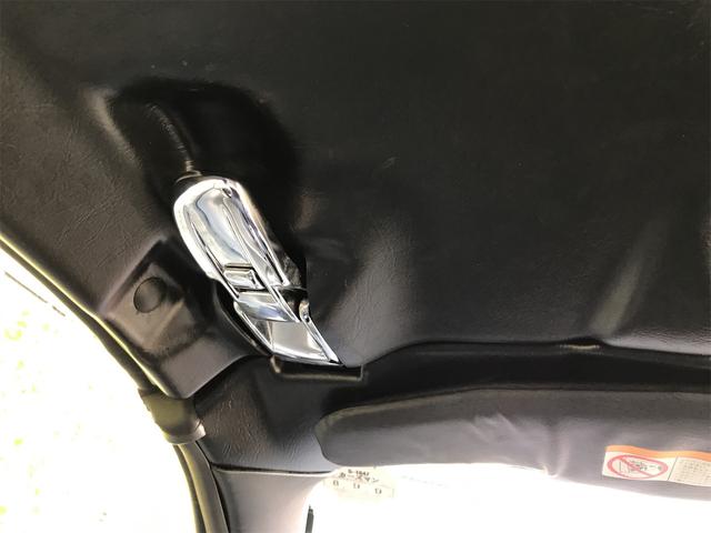 シルビア ヴァリエッタ（39枚目）