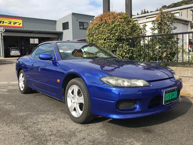 シルビア ヴァリエッタ（41枚目）