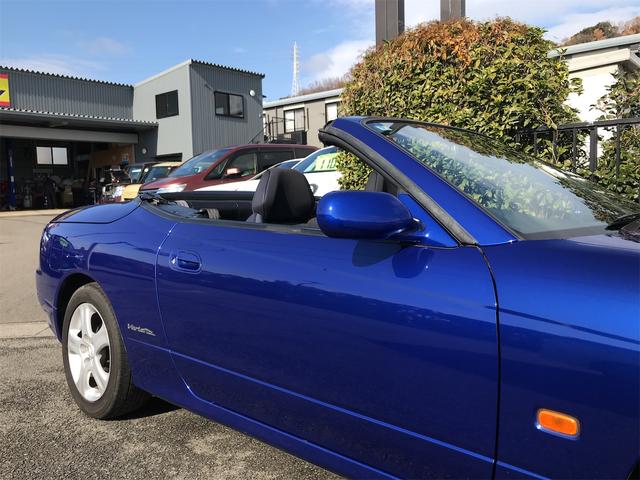 シルビア ヴァリエッタ（52枚目）