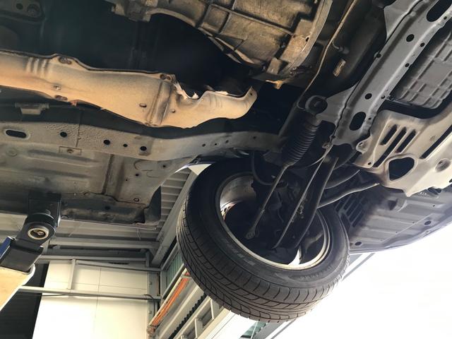 シルビア ヴァリエッタ（66枚目）