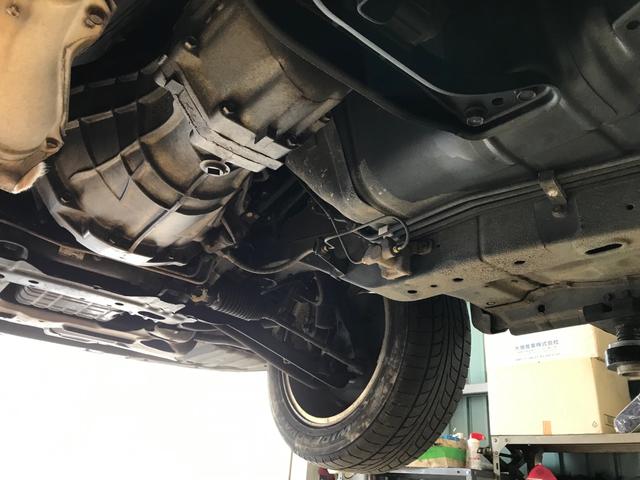 シルビア ヴァリエッタ（67枚目）