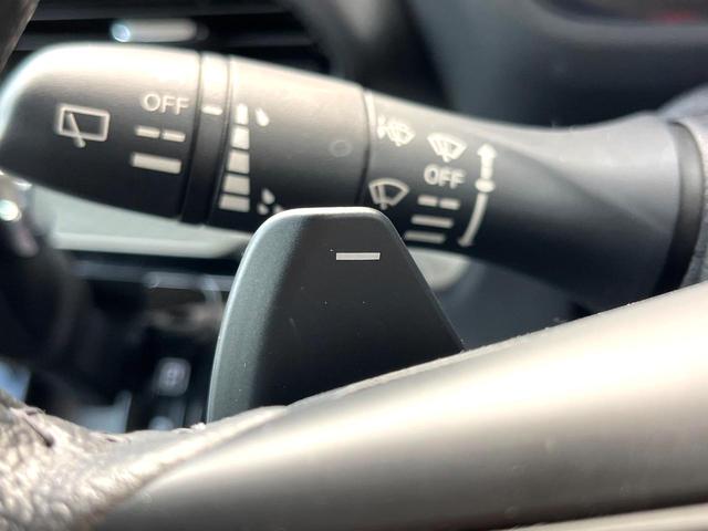 デリカミニ Ｔ　プレミアム　両側電動ドア　ＳＤナビ　全周囲カメラ　衝突被害軽減システム　レーダークルーズ　禁煙車　コーナーセンサー　スマートキー　ＬＥＤヘッド　ビルトインＥＴＣ　純正１５インチアルミ　オートハイビーム（29枚目）