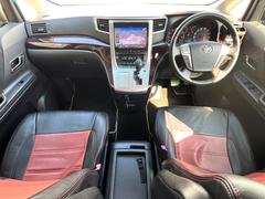 ���롼�����߸˿��󣳣����������桪������η���Ź����᡼�������ּ���鷺���Ҳ�����Τǡ����ʤ��˥ԥå���Τ��֤����Ĥ���Ϥ��Ǥ����ޤ��Ϥ��䤤��碌�������� 2